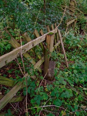 Fencing that was on the Fimber village side of the station, hard up to the B1253 level crossing.